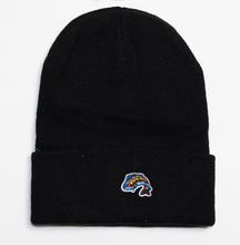 Load image into Gallery viewer, Women&#39;s Beanies w/ SMALL Fish Logo
