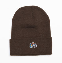 Load image into Gallery viewer, Beanies w/ SMALL Fish Logo
