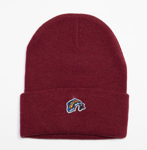 Beanies w/ SMALL Fish Logo