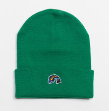 Load image into Gallery viewer, Beanies w/ SMALL Fish Logo
