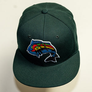 FLAT BRIM BASEBALL HAT SOLID COLORS