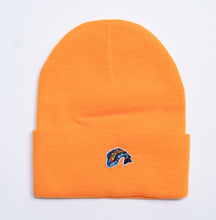 Load image into Gallery viewer, Beanies w/ SMALL Fish Logo
