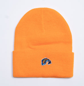 Beanies w/ SMALL Fish Logo