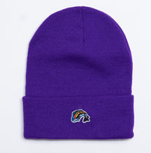 Load image into Gallery viewer, Beanies w/ SMALL Fish Logo
