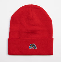 Load image into Gallery viewer, Beanies w/ SMALL Fish Logo
