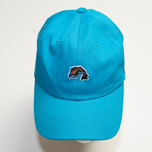 Curved BRIM BASEBALL HAT - SOLID COLORS