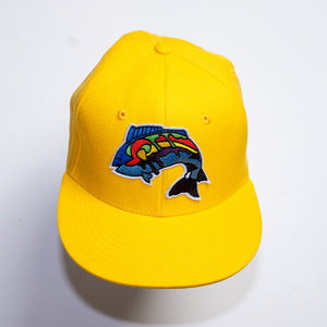 FLAT BRIM BASEBALL HAT SOLID COLORS